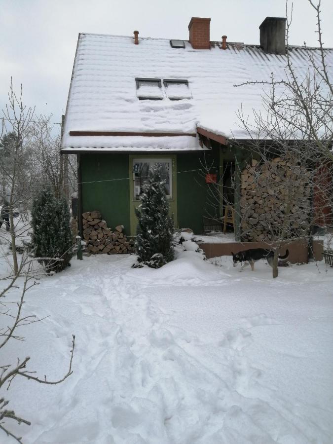 Zielony Domek W Sztynorcie Sztynort 外观 照片